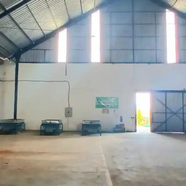 Disewakan gudang 1200 m2 di Tabanan Bali