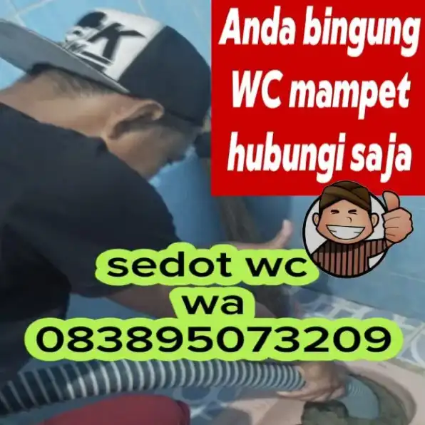 sedot WC bumiayu