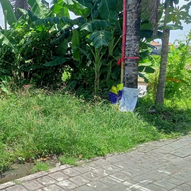 Dijual 1 are, Jl. Sentanu Paguyangan Kaja Ayani Utara Denpasar