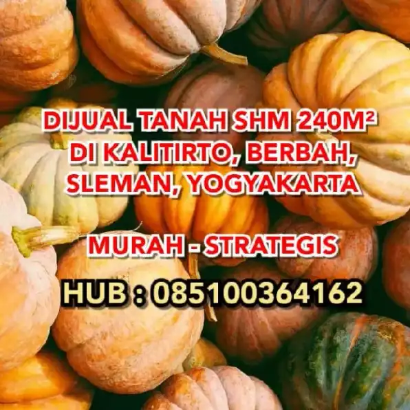 DIJUAL TANAH SHM 240M² DI KALITIRTO BERBAH SLEMAN YOGYAKARTA. MURAH STRATEGIS. H:085100364162>> 