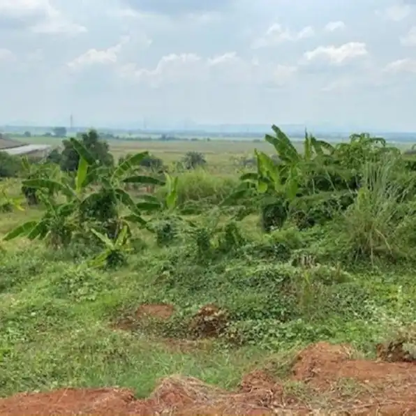 Tanah Kosong Strategis di Desa Mekarjaya Karawang