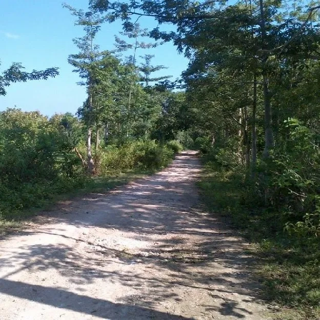 Dujual 10,255 Ha. LOSS TEBING, Jl. Pantai Balangan Kubu Beach Jimbaran Atas Kuta Selatan