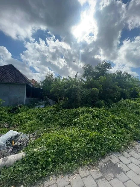 Dijual 1,34 are, Jl. Umah Buluh Kayu Tulang Utara Canggu