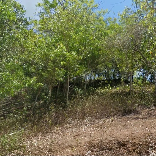 Dijual 3,492 Ha. Jl. Pendem Pantai Cemongkak Labuansait Pecatu Graha Kura Selatan