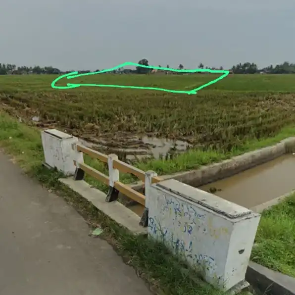 jual tanah jual cepat ( 2.625 meter ) buat biaya meninggal nenek