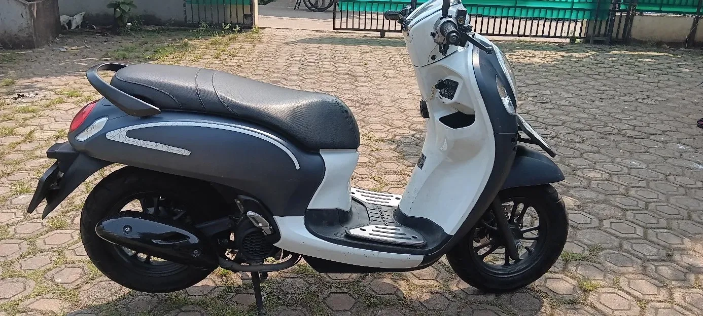 Honda New Scoopy Fashion 2023