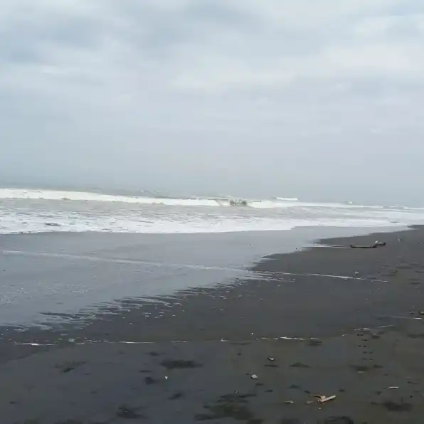 Dijual tanah 1,3 hektare pinggir pantai Penyaringan Mendoyo Jembrana Bali