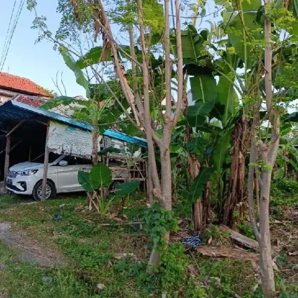 Dijual 2,05 are, Jl. Tegal Dukuh Selatan Penamparan Gatsu Barat Denpasar