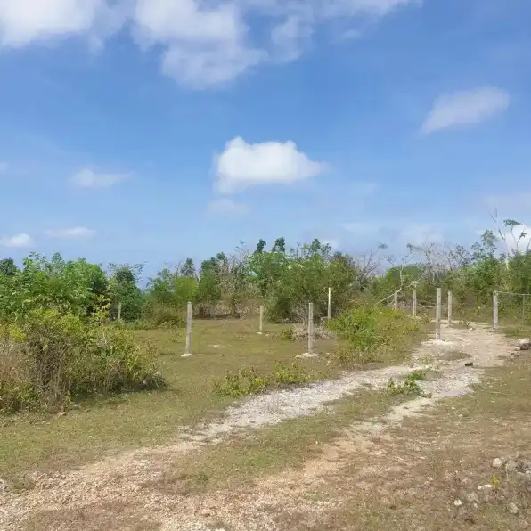 Jual Tanah Luas Murah Dekat Pantai di Ungasan Badung Bali