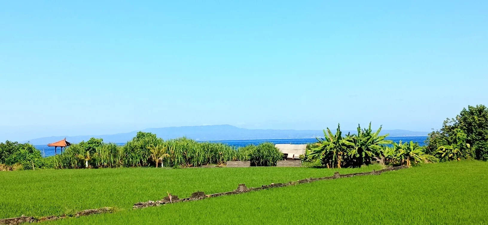 Disewakan tanah los pantai 50 are jl Ida Bagus Mantra Lebih Gianyar Bali