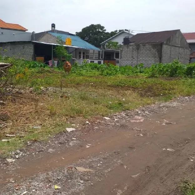 Dijual 2,51 are, Jl. Labak Sari Pura Demak UTARA Mahendradata Denpasar