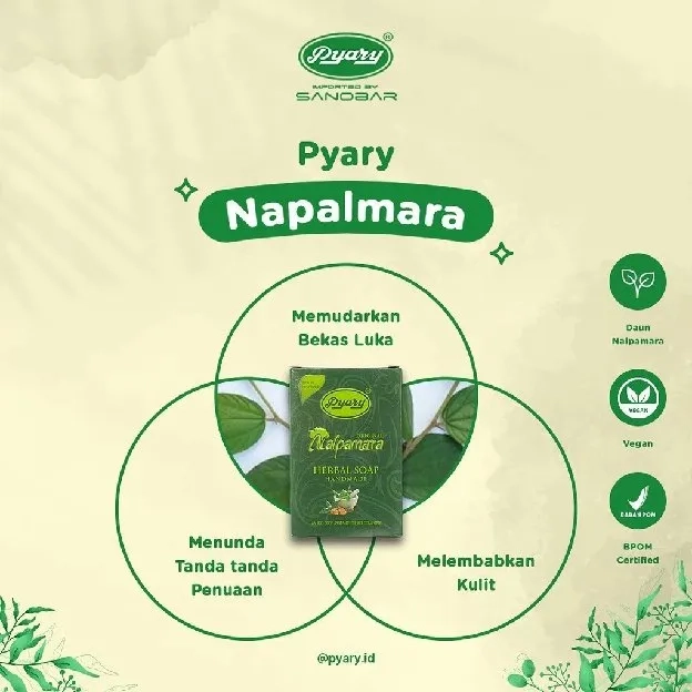 [BPOM RESMI] Sabun Arab PYARY Nalpamara Soap 100% Original DISTRIBUTOR RESMI