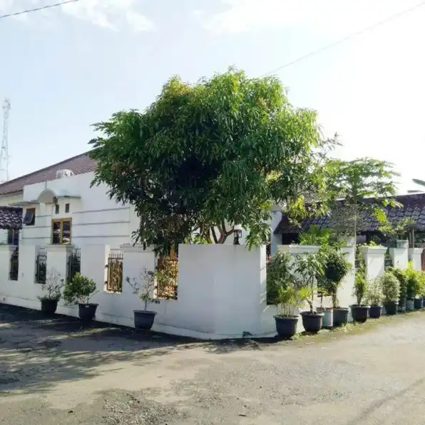 Jual Rumah Siap Huni Shm di Jalan Nuruk Ikhwan Kota Bogor