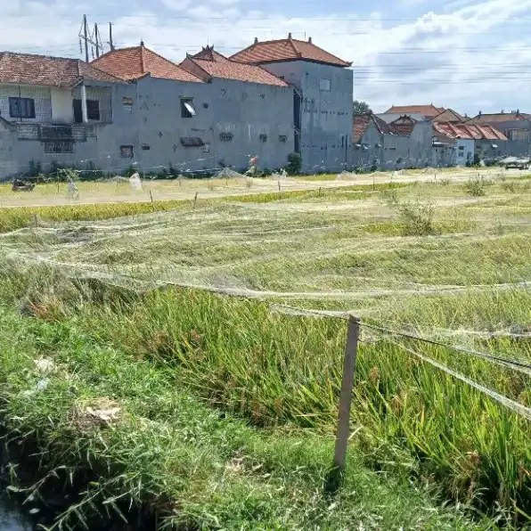 Tanah 43,1 are, Jl. Juwetsari Taman Pancing Pemogan Denpasar