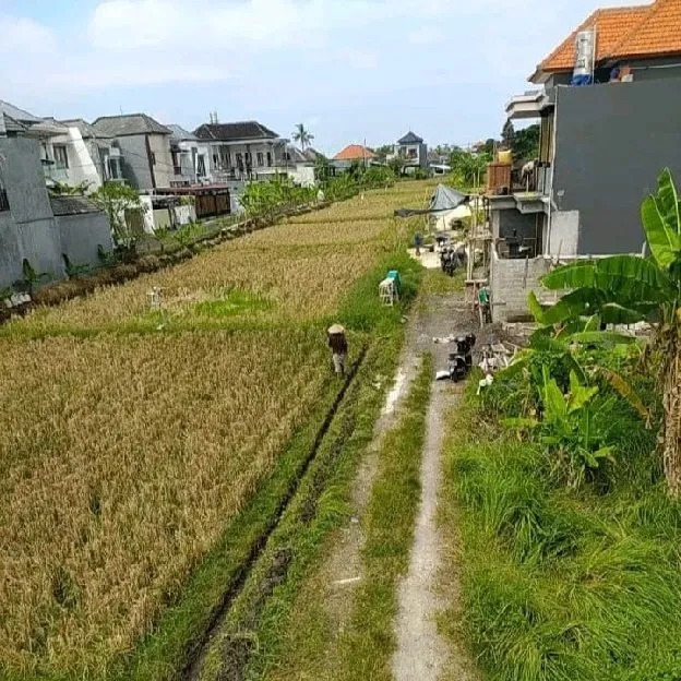 Dijual 1,16 are, Perum Cempaka Mas Dalung Kuta Utara