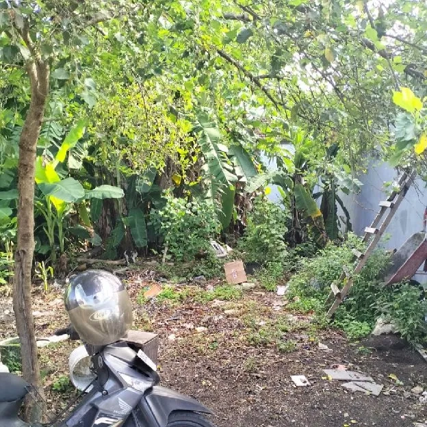 Dijual 2 are, Jl. Wayan Gentuh Tibung Sari Dalung Kuta Utara