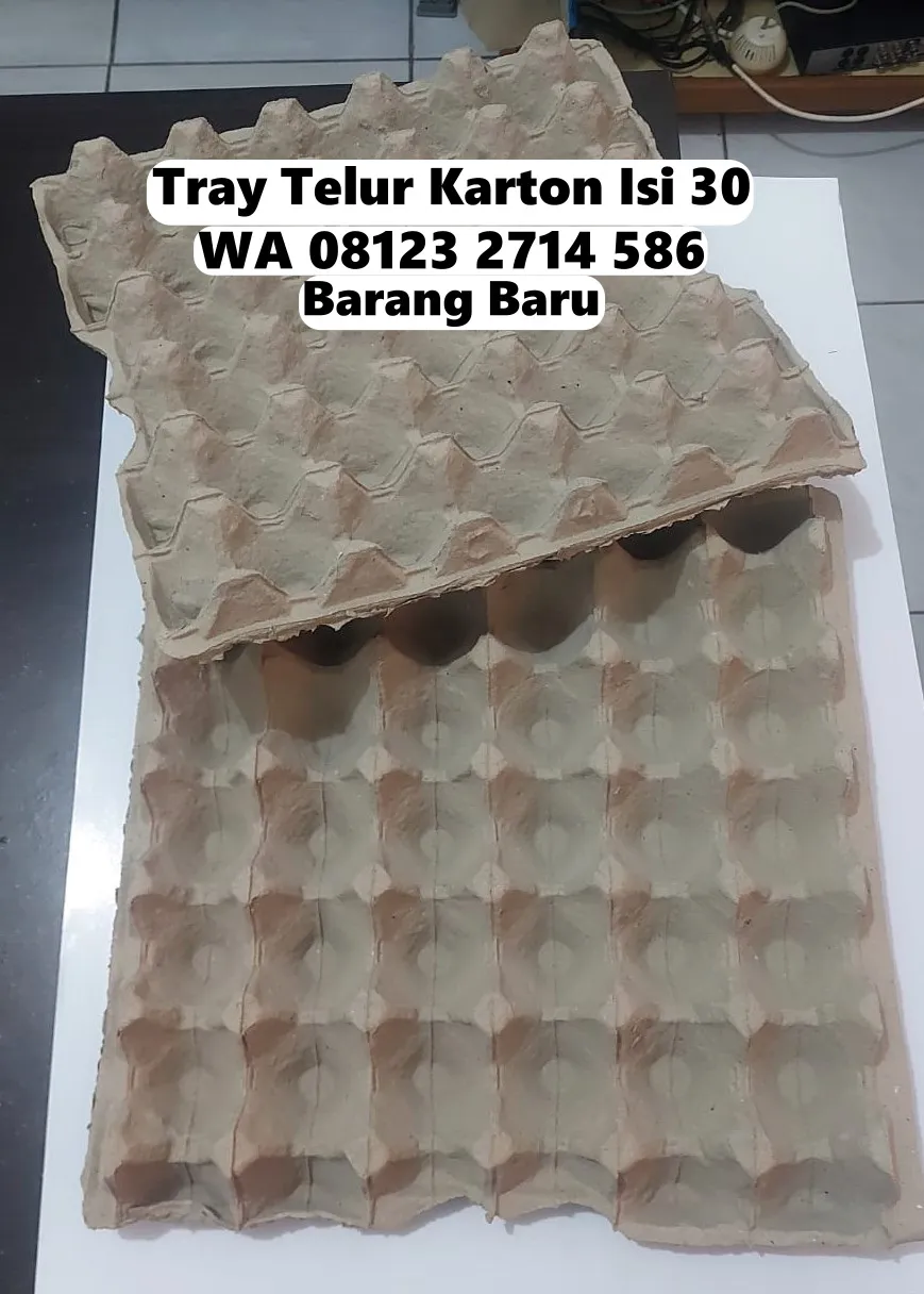 Tray Telor Karton Harga Terbaik Kediri Tabanan Bali (56)