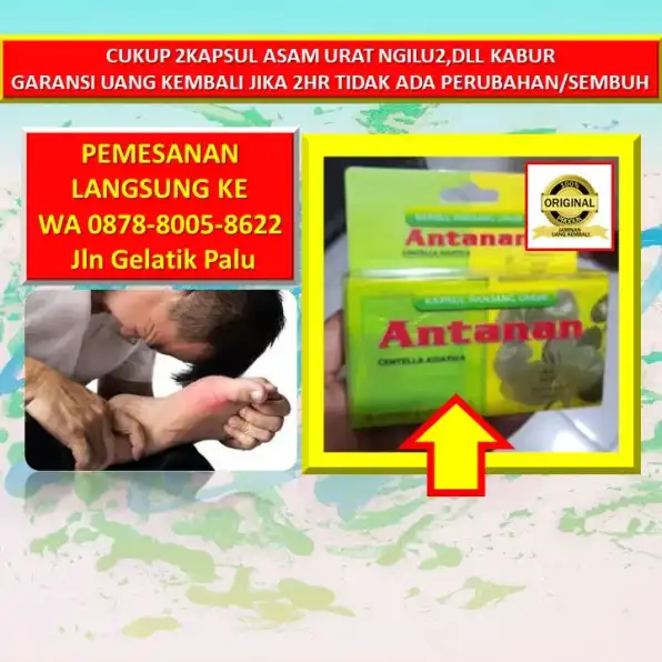 0878-8005-8622 Obat Asam Urat Versi Zaidul Akbar Di Kota Palu