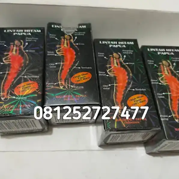 Jual Minyak Lintah Hitam Asli Di Bojonegoro 081252727477