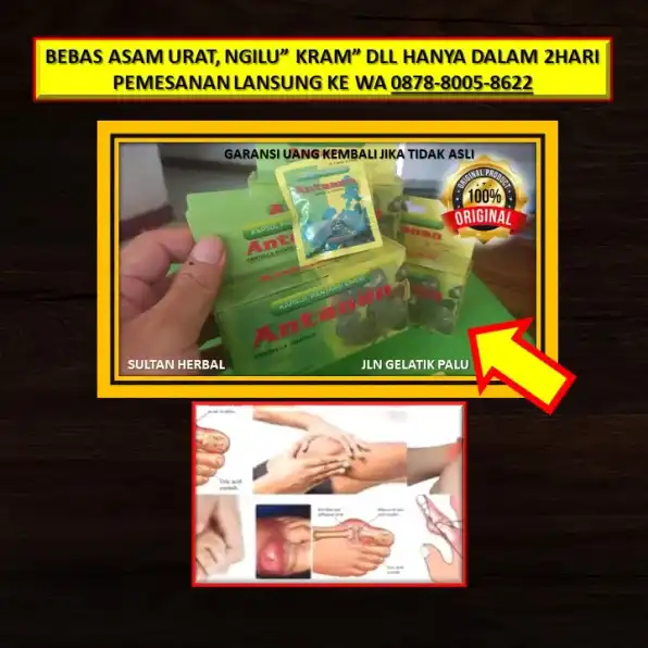 0878-8005-8622 Obat Asam Urat Untuk Lansia Di Kota Palu