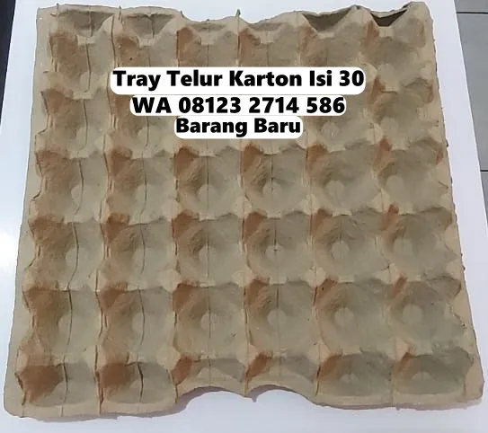 Tray Telur Karton Kardus Diskon Khusus Selemadeg Tabanan Bali (21)