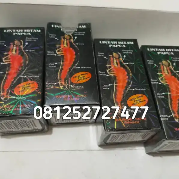 Jual Minyak Lintah Hitam Asli Di Payakumbuh 081252727477