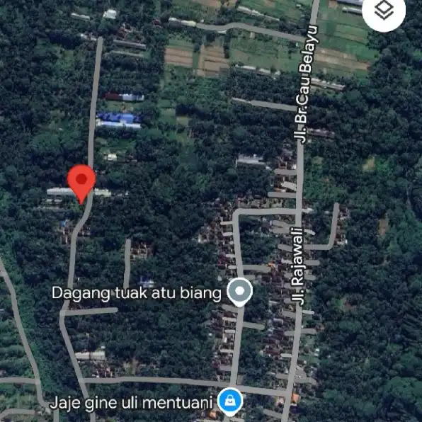 Dijual 34,55 are, Jl. Rajawali Br. Cau Belayu Ayunan Abiansemal Badung