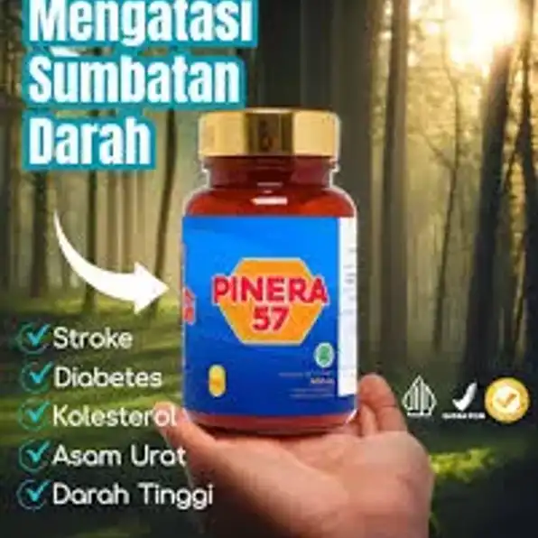 Obat Asam Urat Sulawesi Selatan 081333350331 Obat Hipertensi Stroke Sulawesi Selatan