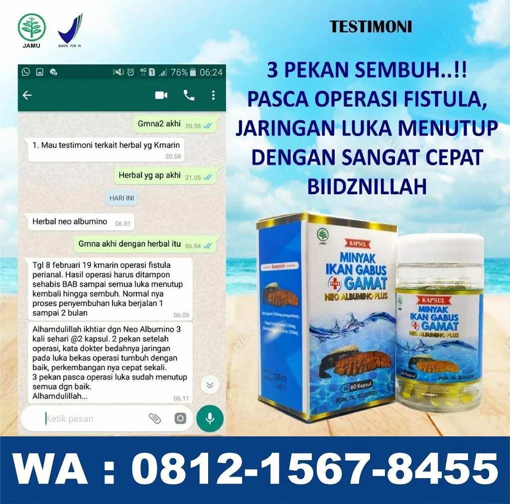 0812-1567-8455 Grosir Neo Albumino Plus Di Gorontalo