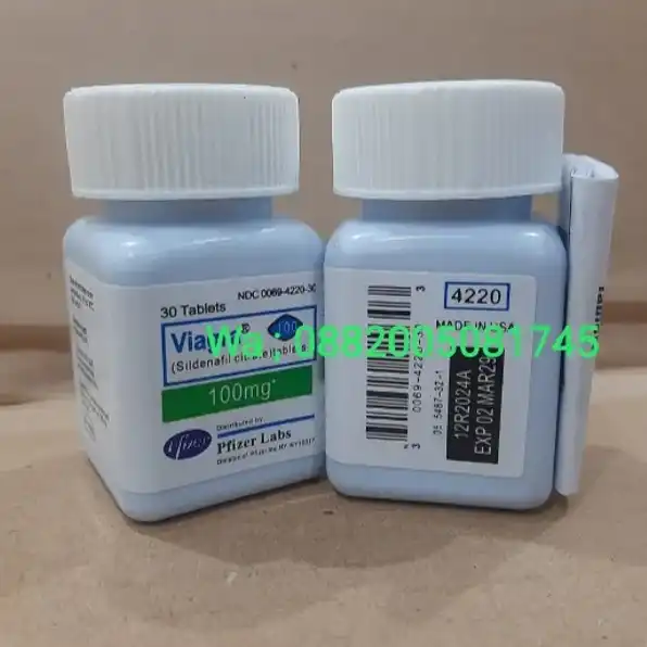 0882005081745 Jual Viagra Usa Asli Di Jakarta Timur Cod Alamat Obat Lemah Syahwat Viagra 100Mg Original