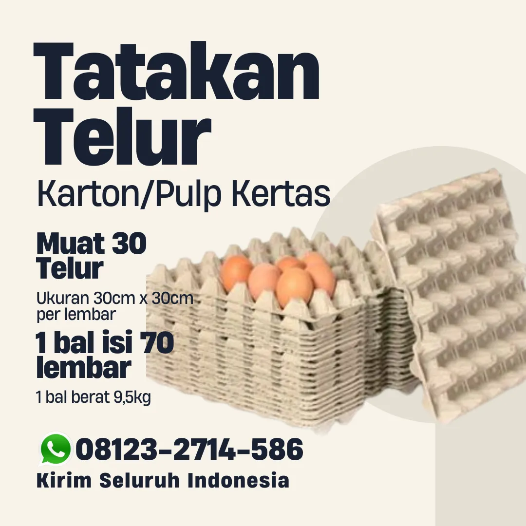 Tray Telur Karton - Bisnis Lancar Kirim ke Batu Layar Lombok Barat (9)