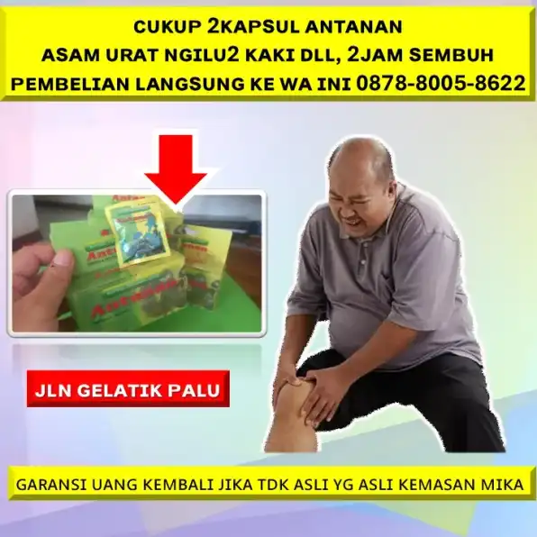 0878-8005-8622 Obat Alami Menurunkan Kolesterol Jahat Di Kota Palu