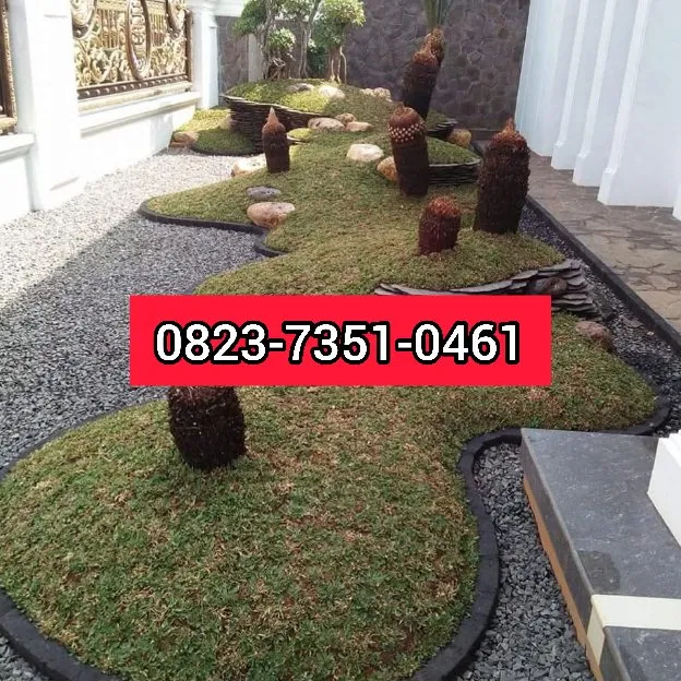 Tukang Taman Telukbetung Timur Bandar Lampung 0823-7351-0461