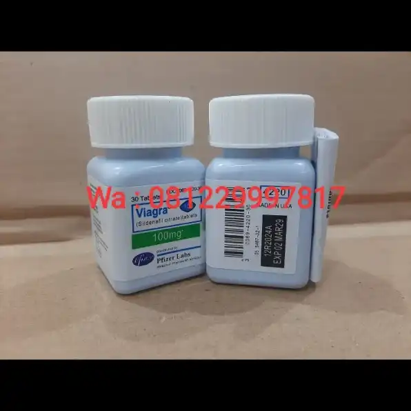 081229997817 Toko Jual Viagra Usa Asli Di Teku Umar Bali Cod Pusat Obat Kuat Viagra 100Mg Original Big Penis