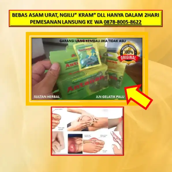 WA: 0878-8005-8622 Obat Asam Urat Lansia Di Kota Palu