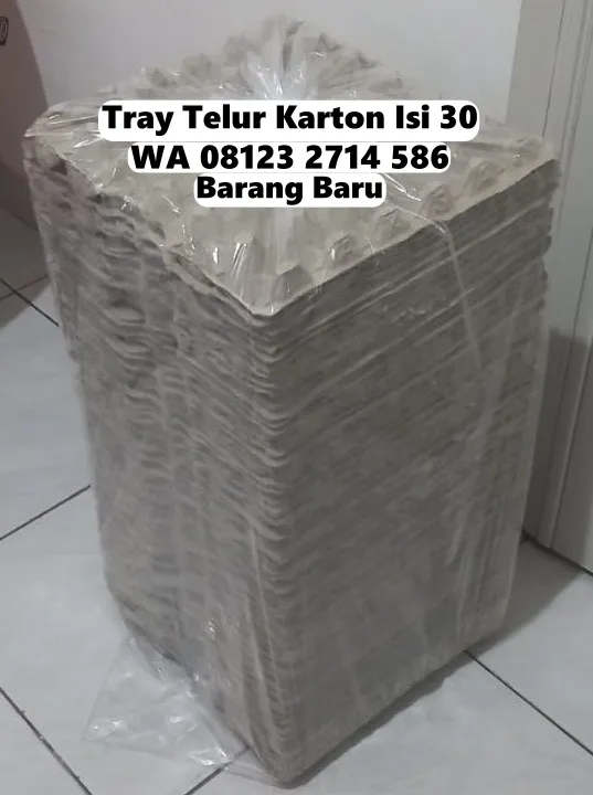 Krat Telor Karton Cepat Dapat Selemadeg Tabanan Bali (161)