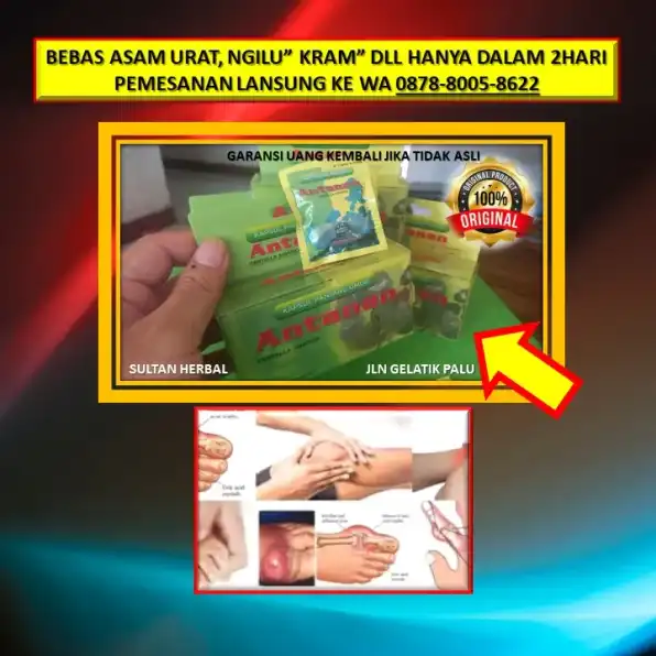 0878-8005-8622 Obat Kolesterol Di Kota Palu