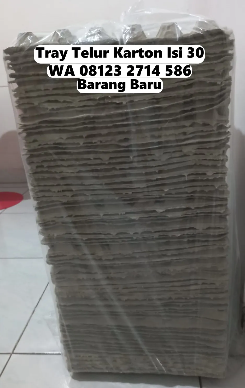 Box Telor Kertas Karton Pilihan Bisnis Anda Pupuan Tabanan Bali (150)