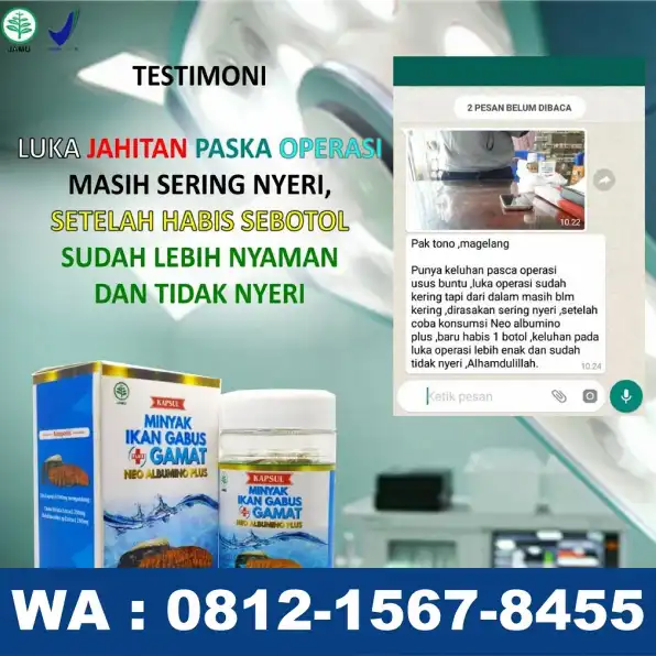 0812-1567-8455 Grosir Neo Albumino Plus Di Jambi