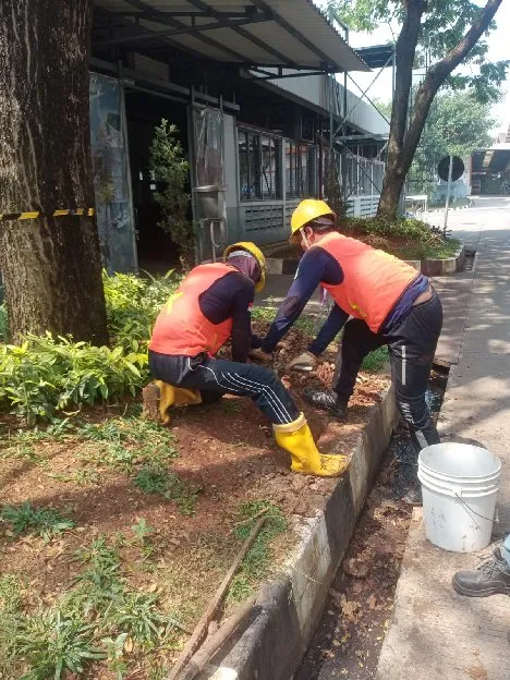 Penangkal petir Paket Lengkap Di Pamijahan Bogor ( BMS ELEKTRO)