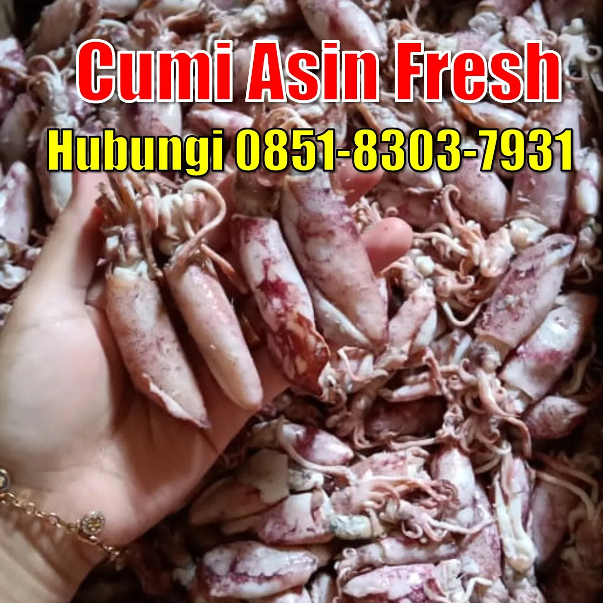 Fresh SEGAR, Jual Cumi Asin Baby Cumi Kabupaten Mesuji