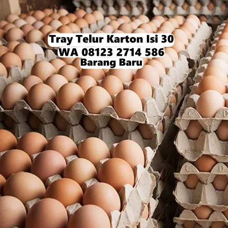 Egg Tray Telor Kertas Karton Inovasi Murah-Meriah Penebel Tabanan Bali (168)