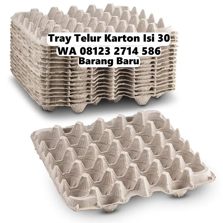 Tray Telor Kardus Harga Miring Selemadeg Barat Tabanan Bali (63)