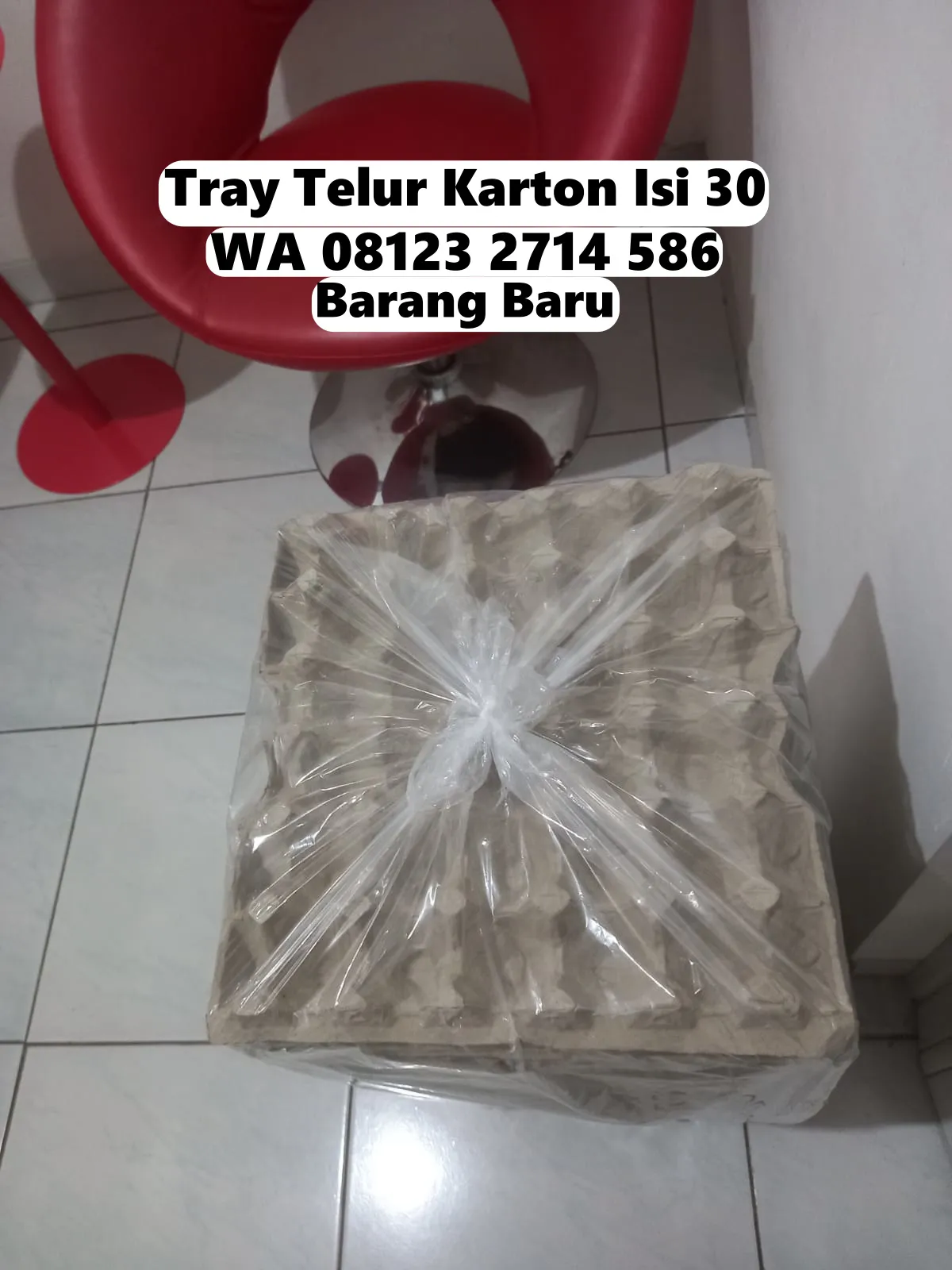 Kotak Telur Kertas Diskon Besar Selemadeg Tabanan Bali (61)