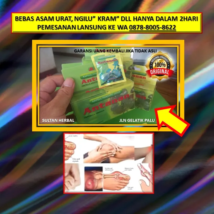 0878-8005-8622 Obat Alami Menurunkan Kolesterol Di Kota Palu