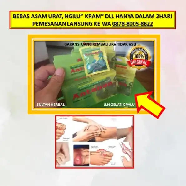 WA: 0878-8005-8622 Obat Asam Urat Linu Di Kota Palu