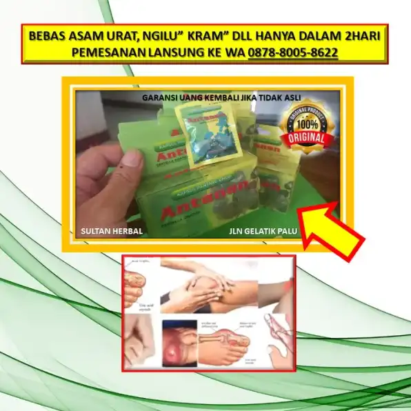 0878-8005-8622 Obat Asam Urat Yang Paling Bagus Di Kota Palu