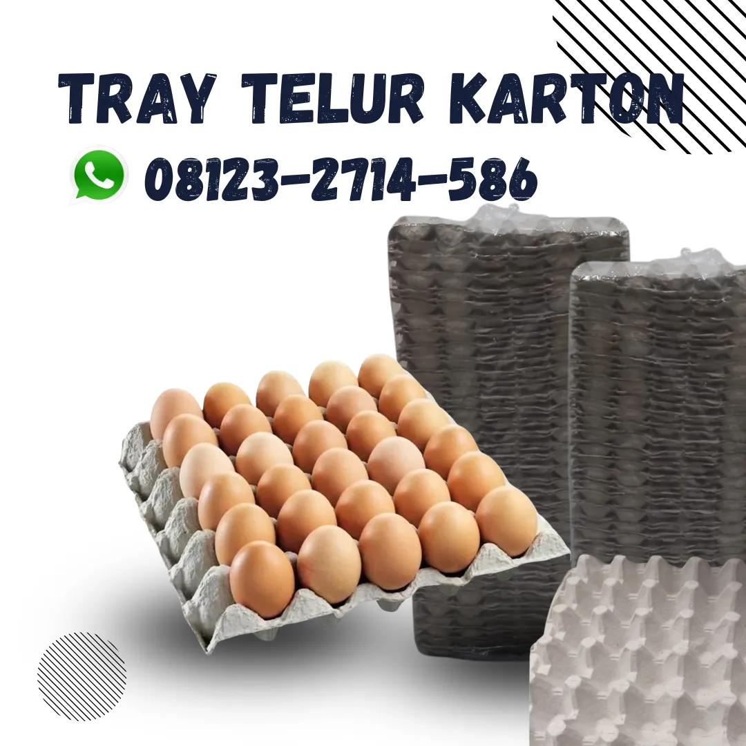 Tatakan Telor Karton Tahan Lama Teruji Kediri Tabanan Bali (116)