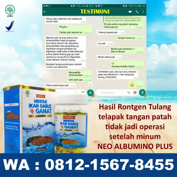 0812-1567-8455 Grosir Neo Albumino Plus Di KalUt