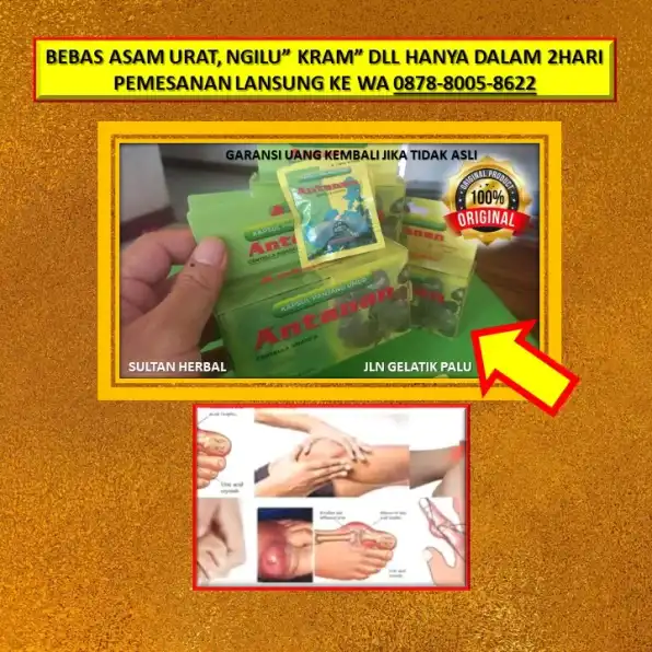 0878-8005-8622 Obat Kolesterol Alami Yang Aman Di Kota Palu